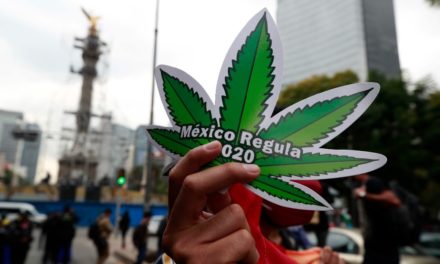 Despenalización de la mariguana, ¿Estamos a tiempo?