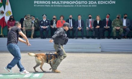 Hugo Gutiérrez y sus perros