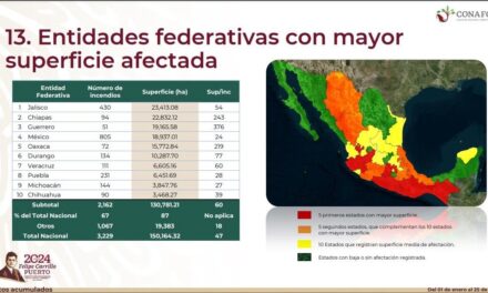 Registra Veracruz más de 6 mil hectáreas afectadas por incendios forestales