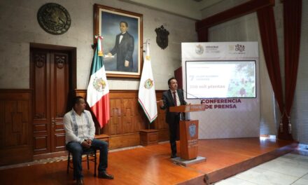 Veracruz, pionero en reforestación con tecnología desarrollada por ingeniería local