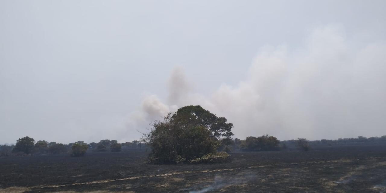 Fuerzas de tarea combaten incendio de pastizal en Alvarado