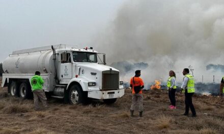 Liquidados incendios en Alvarado y San Juan Evangelista