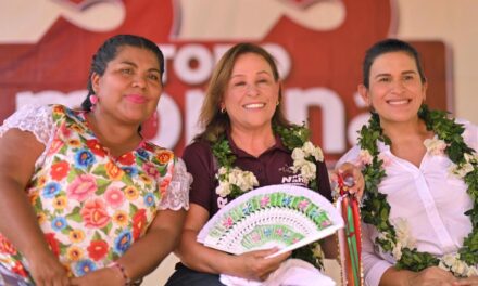 NAHLE REALIZA PRECIERRE EN ZONA SUR