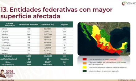 Veracruz registra 117 incendios forestales, se ubica en octavo lugar nacional