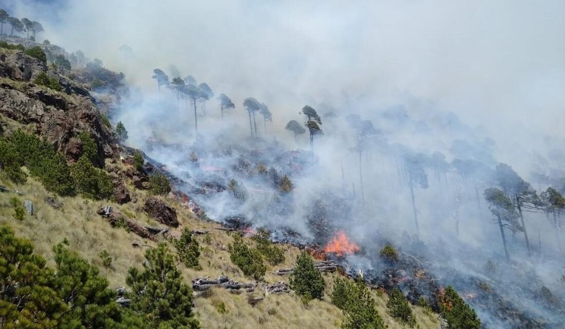 Activos 6 incendios forestales en territorio veracruzano