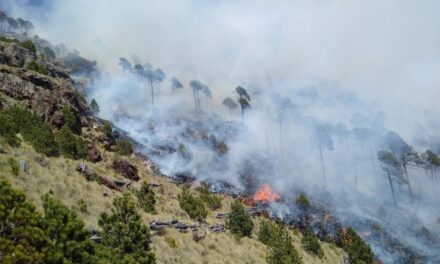 Activos 6 incendios forestales en territorio veracruzano