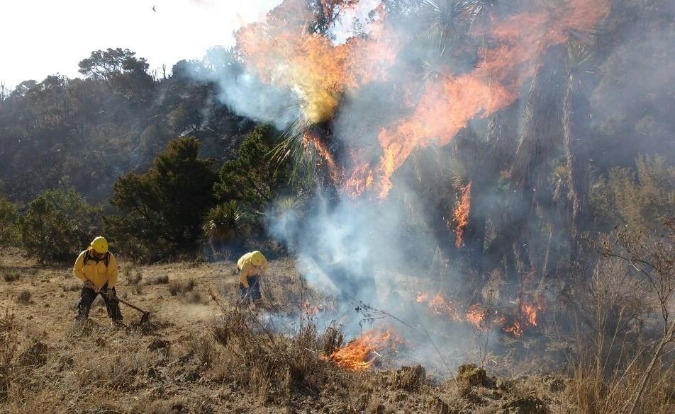 Activos 8 incendios forestales en territorio veracruzano: CONAFOR