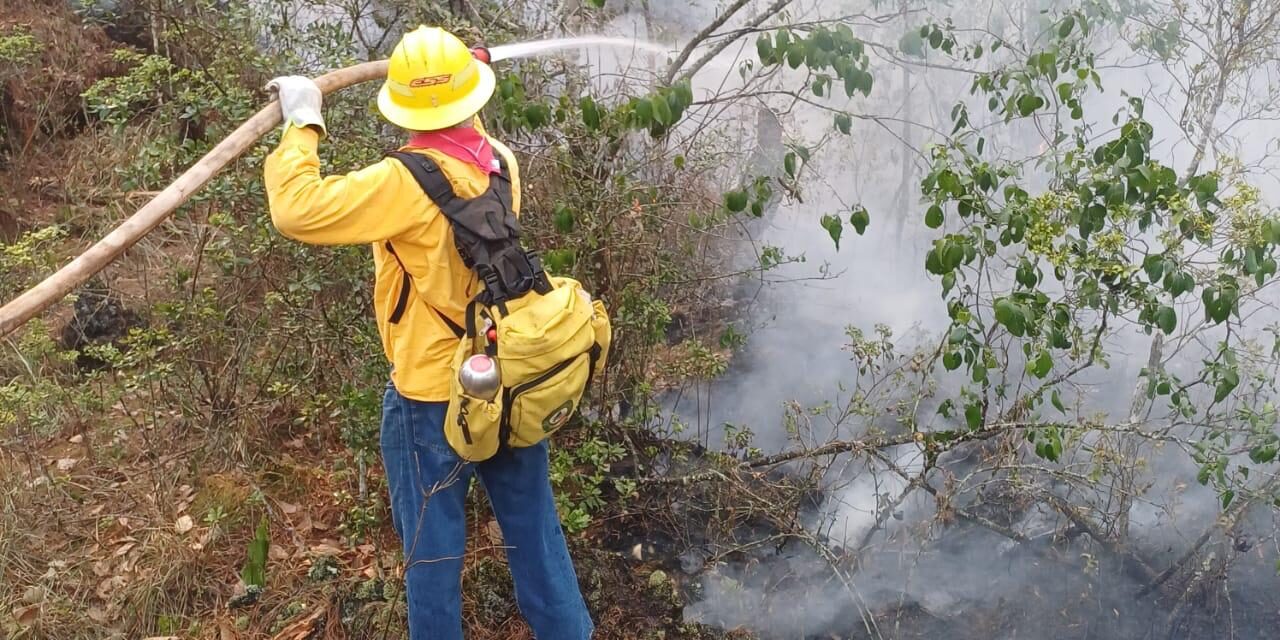 El Gobierno Estatal informa situación actual de incendios en territorio veracruzano