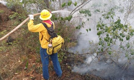 El Gobierno Estatal informa situación actual de incendios en territorio veracruzano