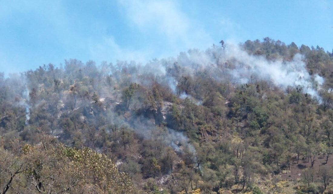 Activos 5 incendios forestales en territorio veracruzano