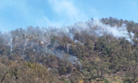 Activos 5 incendios forestales en territorio veracruzano