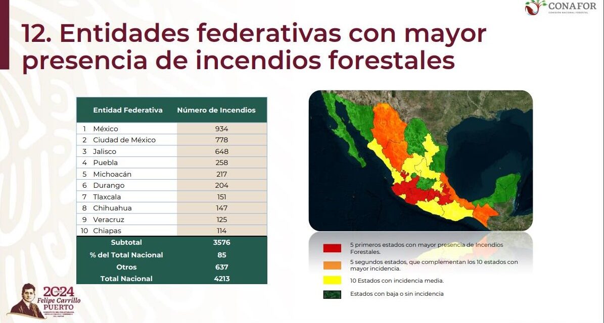 Se registran 4 mil 213 incendios forestales en el país, 125 en Veracruz