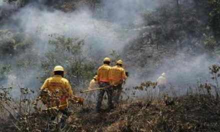 Activos 5 incendios forestales en territorio veracruzano reporta CONAFOR