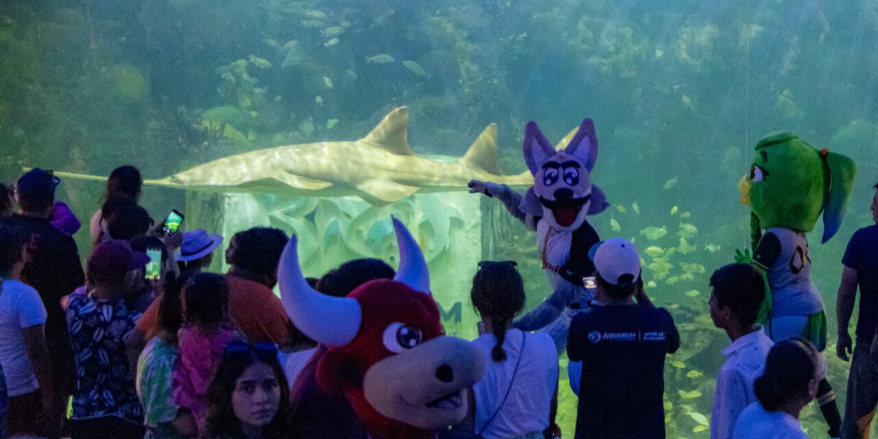 VISITAN EL AQUARIUM DE VERACRUZ BEISBOLISTAS Y BOTARGAS DEL JUEGO DE LAS ESTRELLAS 2024