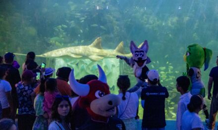 VISITAN EL AQUARIUM DE VERACRUZ BEISBOLISTAS Y BOTARGAS DEL JUEGO DE LAS ESTRELLAS 2024