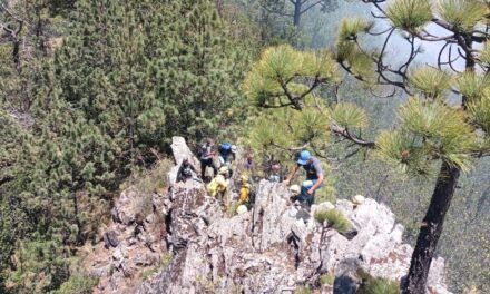 Brigadas de los 3 órdenes de gobierno y voluntarios atienden incendio forestal en Xico