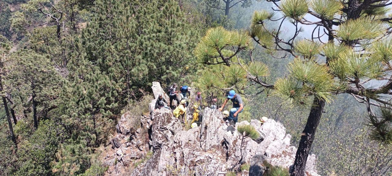 Brigadas de los 3 órdenes de gobierno y voluntarios atienden incendio forestal en Xico