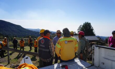 De manera coordinada se atienden incendios en Veracruz