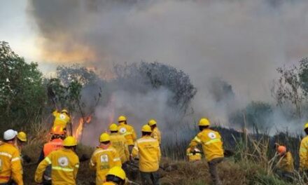 Registra el país 4 mil 650 incendios forestales, Veracruz 143