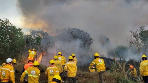 Registra el país 4 mil 650 incendios forestales, Veracruz 143