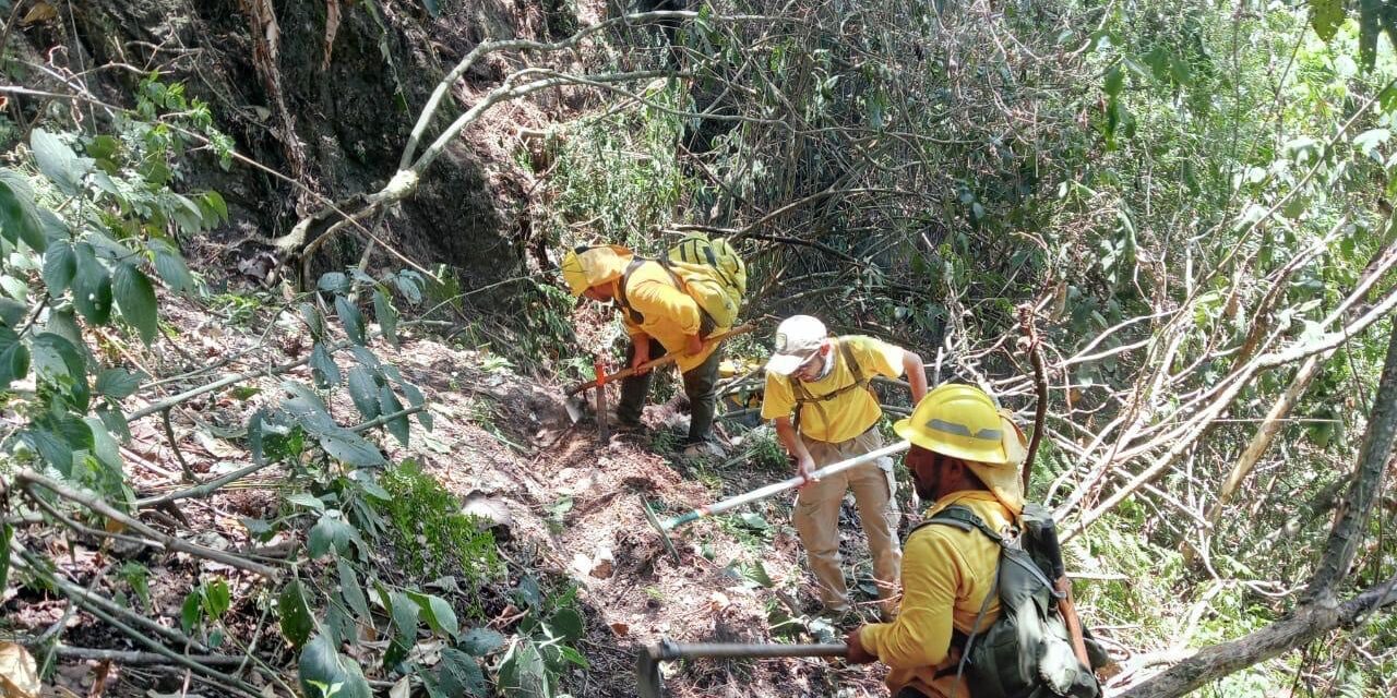 Operaciones aéreas respaldan combate a incendios forestales en Tlalilpan e Ixhuacán de lo Reyes