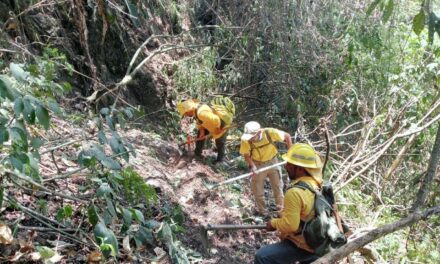 Operaciones aéreas respaldan combate a incendios forestales en Tlalilpan e Ixhuacán de lo Reyes