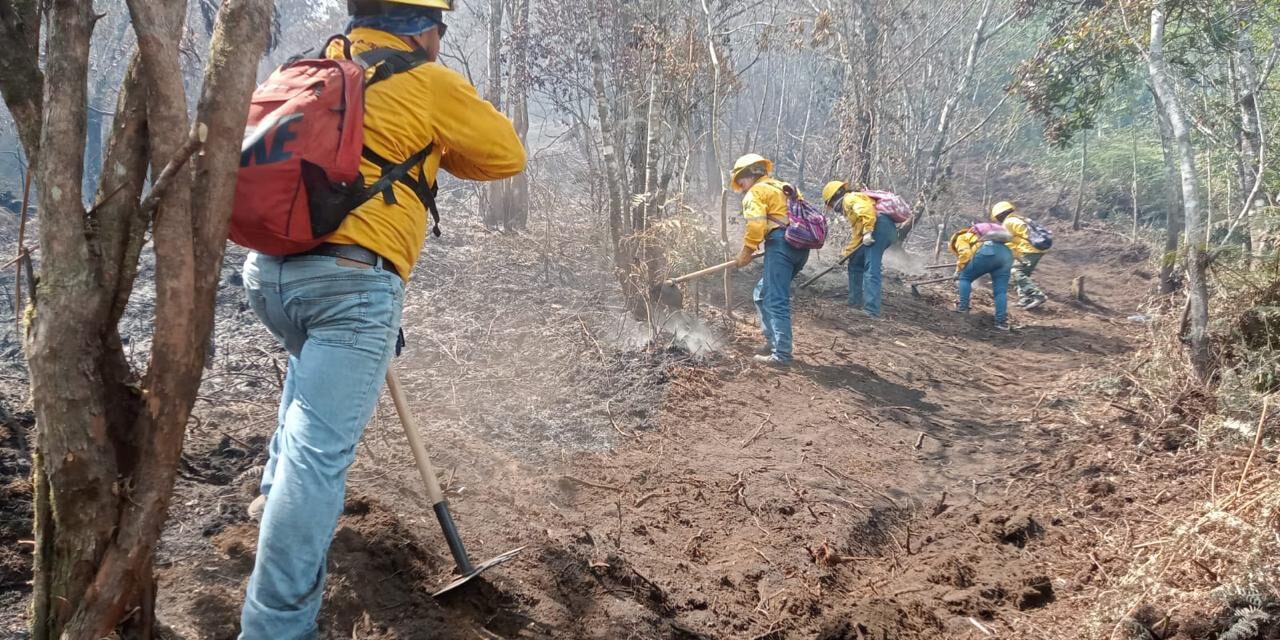 Fuerzas de tarea atienden 17 incendios forestales en Veracruz