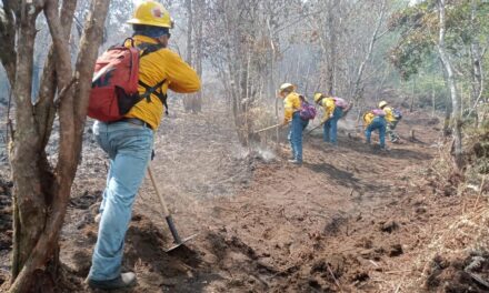 Fuerzas de tarea atienden 17 incendios forestales en Veracruz