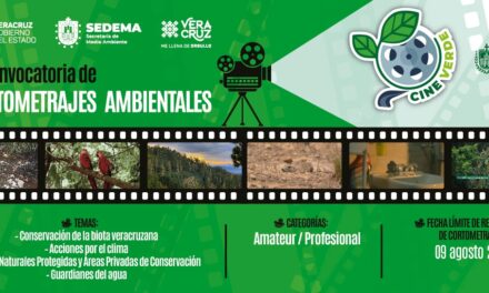 Lanzan convocatoria ‘Cine Verde’ 2024 en Veracruz para promover cuidado del ambiente