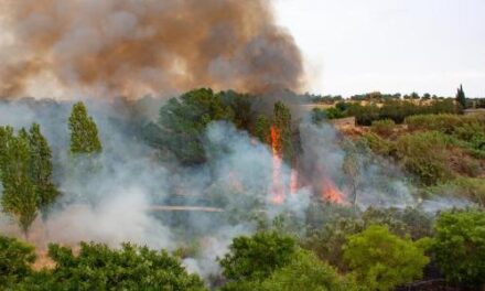 Veracruz registra 145 incendios forestales y más de 7 mil hectáreas dañadas