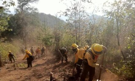 Conafor reporta 11 incendios forestales activos en territorio estatal