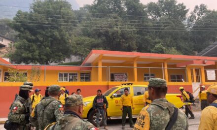 En combate activo a 19 incendios en el estado de Veracruz