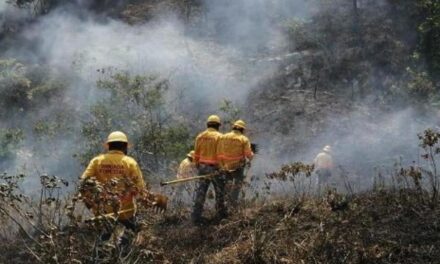 En territorio veracruzano CONAFOR reporta 10 incendios forestales activos