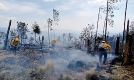 Activos 8 incendios forestales en territorio veracruzano