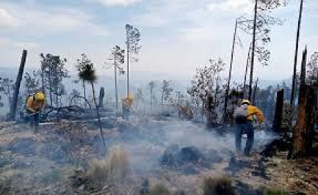 Activos 8 incendios forestales en territorio veracruzano