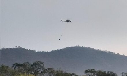 Afectan 164 incendios forestales en Veracruz a 8 mil 369 hectáreas