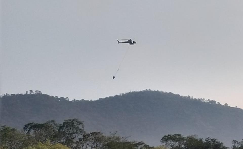 Afectan 164 incendios forestales en Veracruz a 8 mil 369 hectáreas