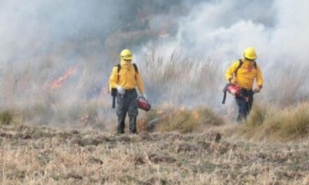 Un incendio forestal activo en Texcatepec, reporta CONAFOR