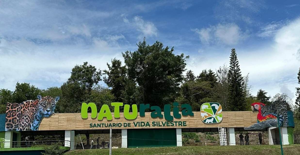 En agosto entregan ‘Parque Naturalia’, adelantó Cuitláhuac García