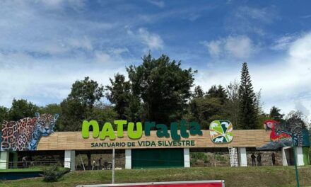 En agosto entregan ‘Parque Naturalia’, adelantó Cuitláhuac García