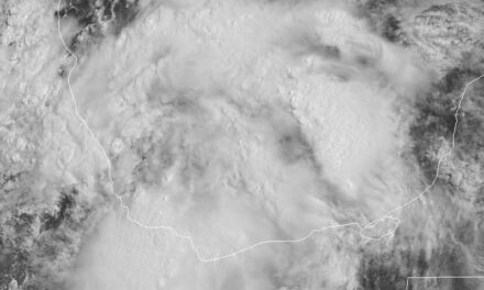 Disturbio tropical 94L podría impactar la madrugada de lunes en norte o centro de Veracruz