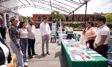 Veracruz en el top 10 de menor tasa de desocupación laboral