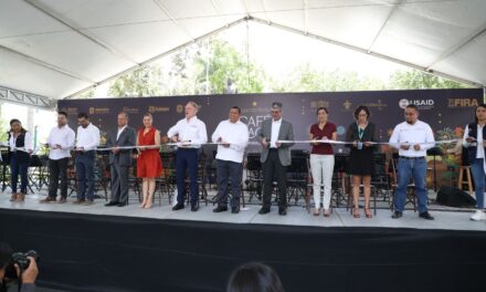 Lo mejor de la caficultura reunido en el Segundo Festival Café Veracruz