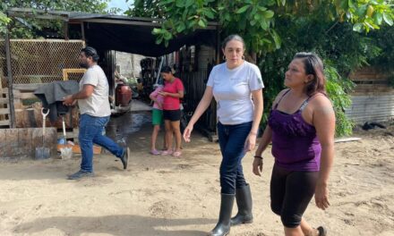 Gobierno del Estado mantendrá acciones coordinadas en Veracruz – Boca del Río hasta el cierre de la emergencia