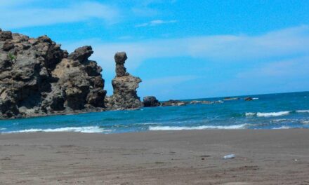 Playas veracruzanas aptas para el esparcimiento para este periodo vacacional de Verano