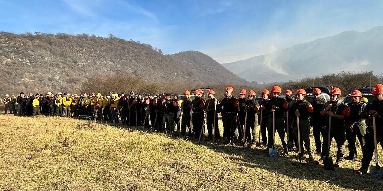 Veracruz e Hidalgo protegen juntos los recursos forestales