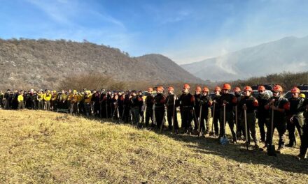 Veracruz e Hidalgo protegen juntos los recursos forestales