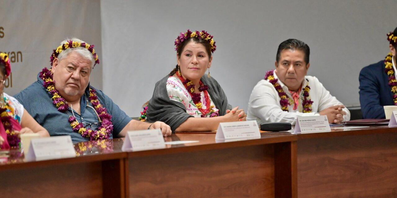 Congreso de Veracruz, presente en jornadas por los derechos de los pueblos indígenas