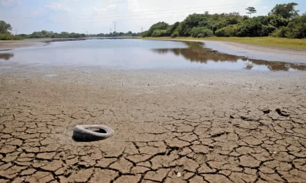 Disminuye en Veracruz problema de municipios con sequía