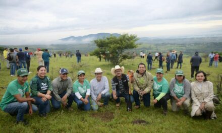 Cuitláhuac García cierra sexenio con más de 11 millones de árboles sembrados